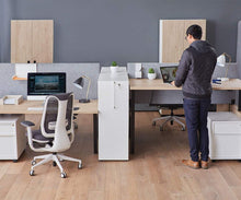 Load image into Gallery viewer, Jensen Double Sit Stand Desk with Reversible Panel