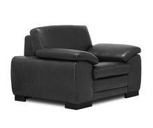 Load image into Gallery viewer, Cercis Leather Chair