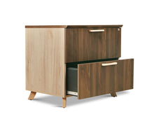 Load image into Gallery viewer, Thorsten Lateral File