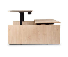 Load image into Gallery viewer, Jensen Double Sit Stand Desk with Panels
