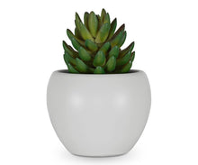 Load image into Gallery viewer, Small Potted Jade Faux Succulent
