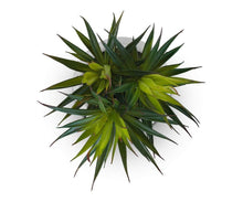 Load image into Gallery viewer, Small Potted Faux Palm
