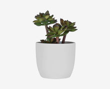 Load image into Gallery viewer, Potted Deep Green Faux Succulent
