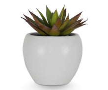 Load image into Gallery viewer, Small Potted Red and Green Faux Succulent
